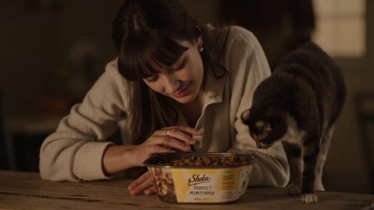 Sheba Perfect Portions Wet Cat Food Review